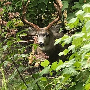 Meet your Posher, Trevor